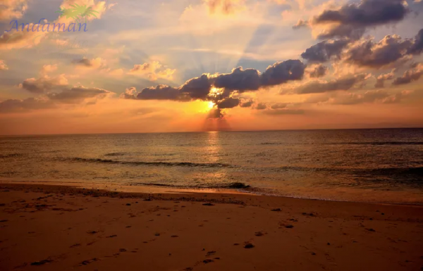 7 Days Blissful Honeymoon Standard Tour of Andaman Islands