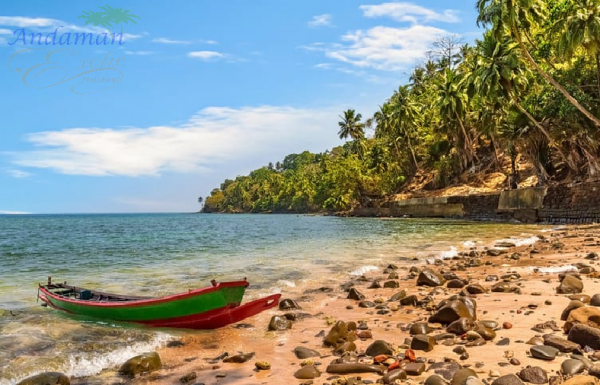 7 Days Premium Experience Offbeat Andaman Tour Packages