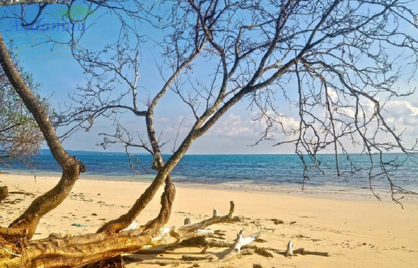 6 Days Deluxe Andaman Package With Elephanta & Neil Island Stay -SG48761