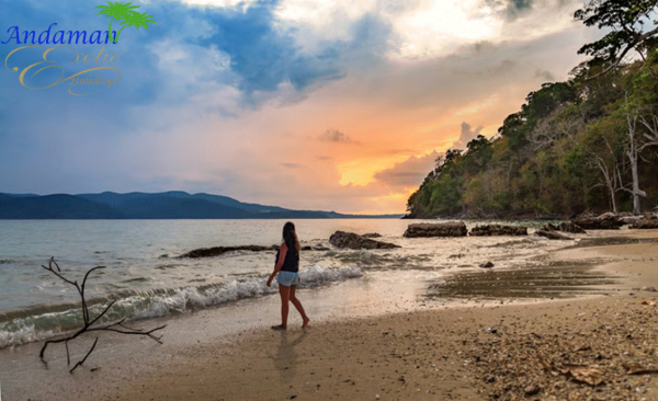 🌴 6 Days in Andaman: Havelock & Neil Island Escape