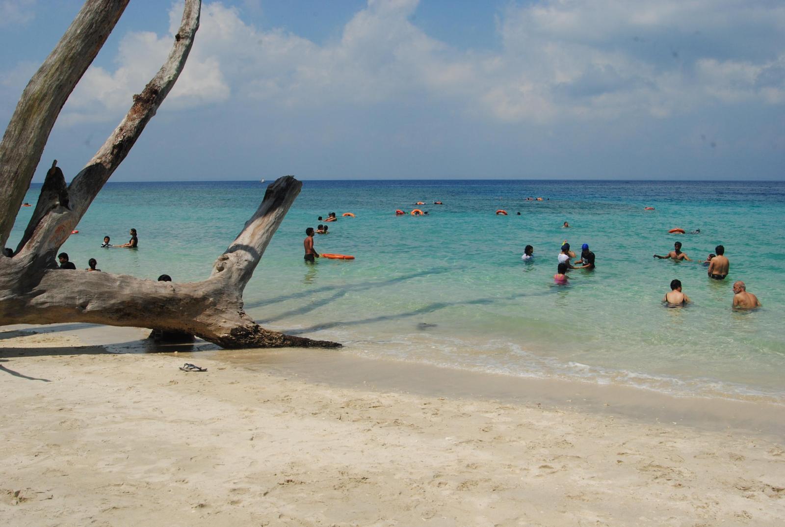 Best Time To Visit Elephant Beach
